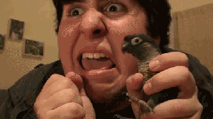 hope+we+at+least+get+moar+jontron+episodes+now+_2574b24afdcdb40f871609c10ee8c16a.gif